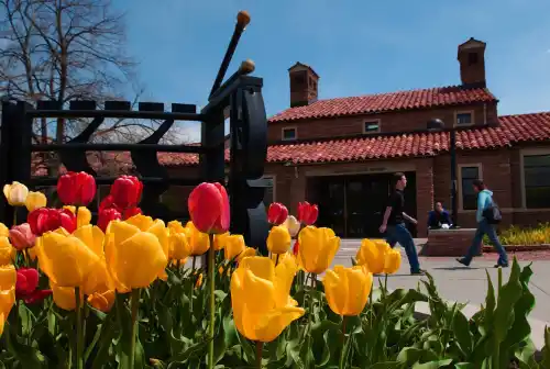 Stone building with tulips.